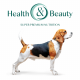 Сухий корм - Сухий корм Optimeal для дорослих собак середніх порід з індичкою