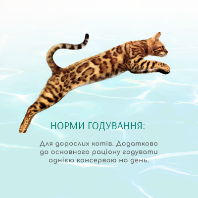 Консервований корм - Консерва для котів "Смугастий тунець у соусі з креветками"