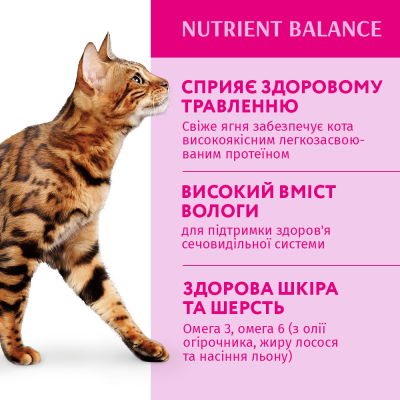 Консервований корм - Вологий корм Optimeal для дорослих котів з ягням та овочами