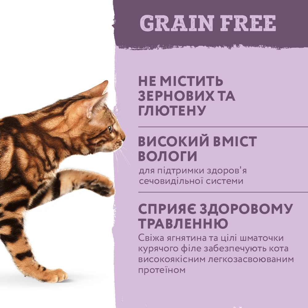 Консервований корм - Беззерновий вологий корм Optimeal для дорослих котів з ягнятиною та курячим філе в гарбузовому желе