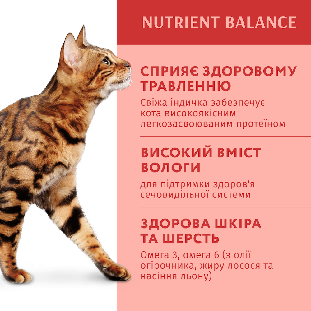 Консервований корм - Вологий корм Optimeal для дорослих котів з індичкою у гарбузовому соусі